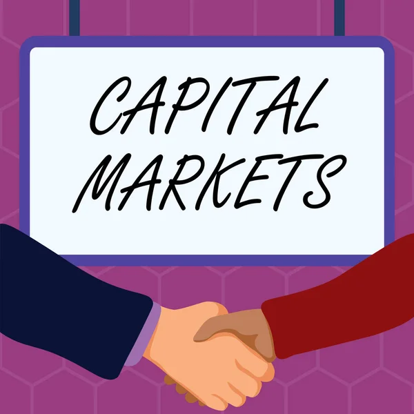 Conceptual Caption Capital Markets Internet Concept Permitir Las Empresas Recaudar — Foto de Stock
