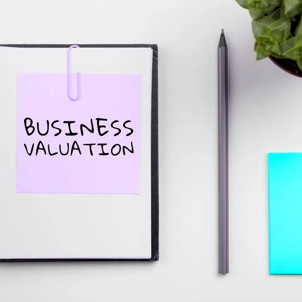说明激励企业估值的文字 关于确定整个企业经济价值的文字 — 图库照片