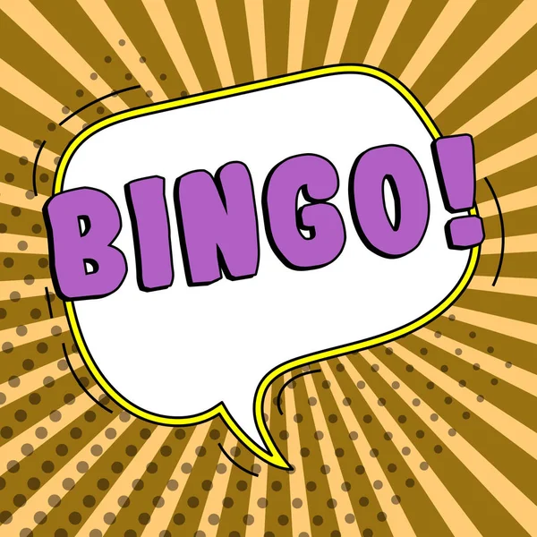 Text Sign Showing Bingo Internet Concept Game Chance Which Each — Stock Photo, Image