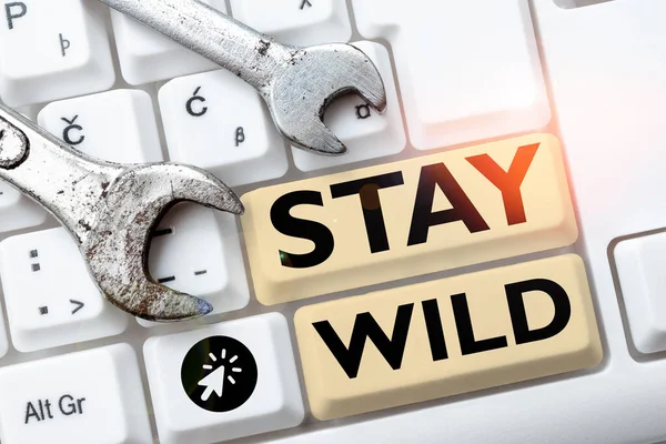 Inspiration Showing Sign Stay Wild Internet Concept Keep Being You — Foto de Stock