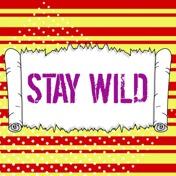Text caption presenting Stay Wild, Word Written on keep being you and doing what youre doing Never want to change