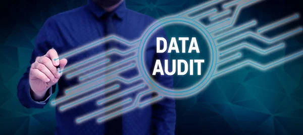 Conceptual Caption Data Audit Word Auditing Data Assess Its Quality — Stock Fotó