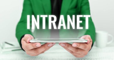 Intranet, Business overview yerel ya da kısıtlı iletişim ağını temsil eden metin başlığı özellikle özel olan