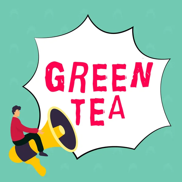 Writing Displaying Text Green Tea Business Showcase Type Tea Made — Foto Stock