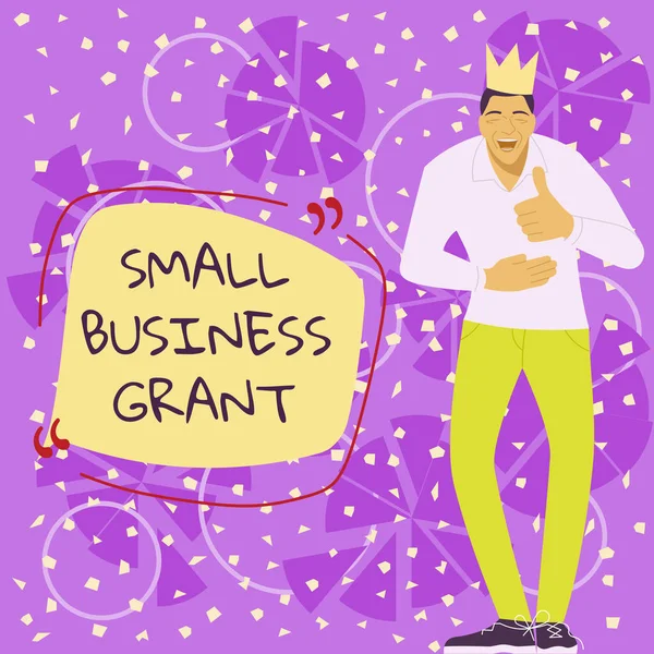 Podpis Tekstowy Przedstawiający Dotację Dla Małych Przedsiębiorstw Koncepcja Oznaczająca Firmę — Zdjęcie stockowe