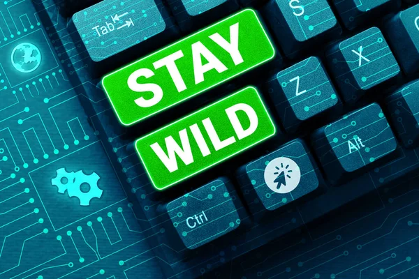 Writing displaying text Stay Wild, Business concept keep being you and doing what youre doing Never want to change