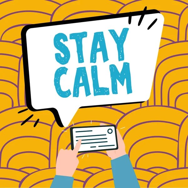 Text Sign Showing Stay Calm Business Approach Maintain State Motion —  Fotos de Stock