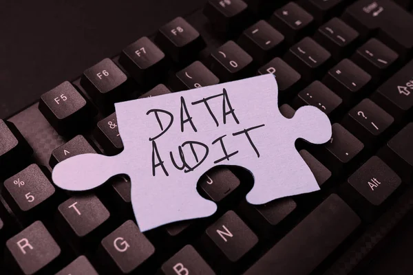 Writing displaying text Data Audit, Internet Concept auditing of data to assess its quality for a specific purpose