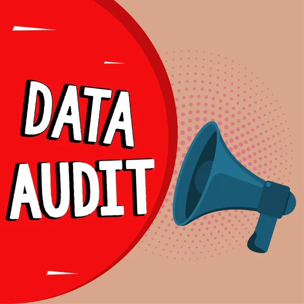 Conceptual Display Data Audit Business Overview Auditing Data Assess Its — 스톡 사진