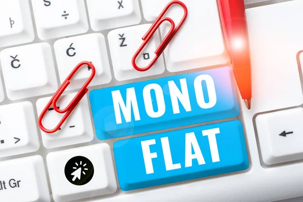 Conceptual Display Mono Flat Business Approach Lying Full Length Spread — Fotografia de Stock