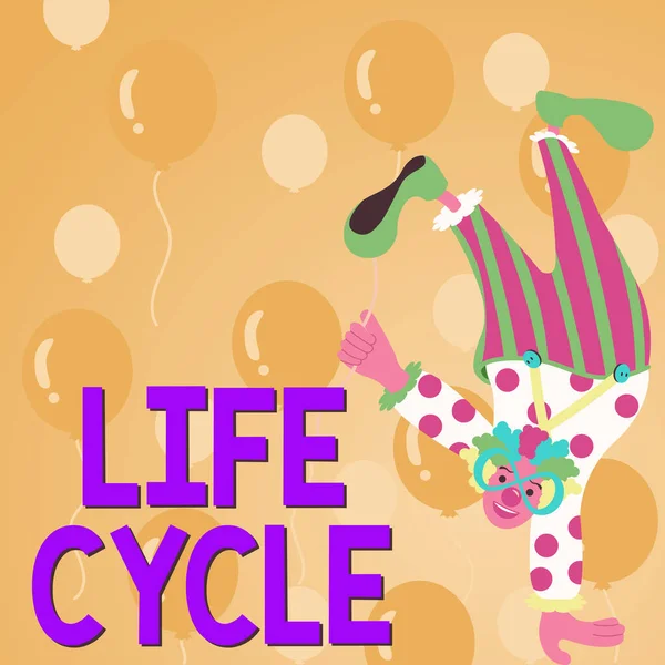 Handwriting Text Life Cycle Business Idea Series Changes Life Organism — Stock Fotó