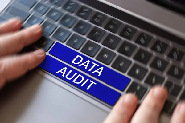 Hand Writing Sign Data Audit Internet Concept Auditing Data Assess — 스톡 사진