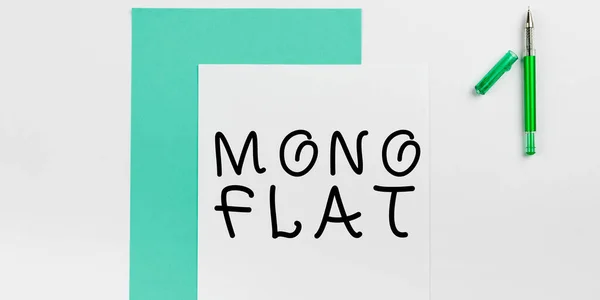 Text Sign Showing Mono Flat Business Approach Lying Full Length —  Fotos de Stock