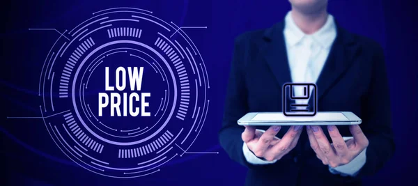 Text Caption Presenting Low Price Business Idea Price Lowest Relation — Φωτογραφία Αρχείου