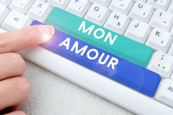 Text Caption Presenting Mon Amour Word French Name Lover Happy — Stock fotografie