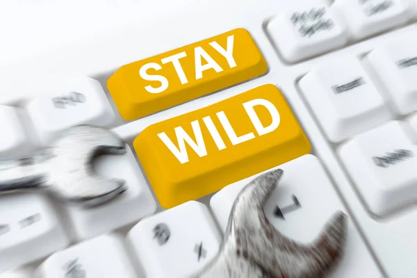 Handwriting Text Stay Wild Internet Concept Keep Being You Doing — Stock fotografie