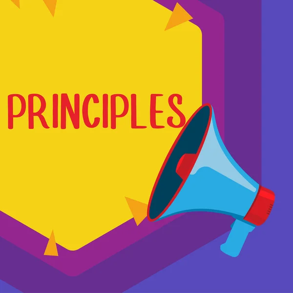 Text Caption Presenting Principles Business Idea Fundamental Truth Serves Base — Stok fotoğraf