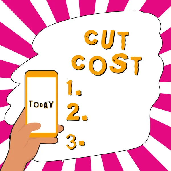 Conceptual Display Cut Cost Business Overview Measures Implemented Reduced Expenses — 스톡 사진