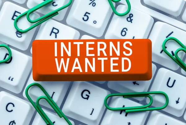 Conceptual Display Interns Wanted Business Overview Looking Job Trainee Part —  Fotos de Stock