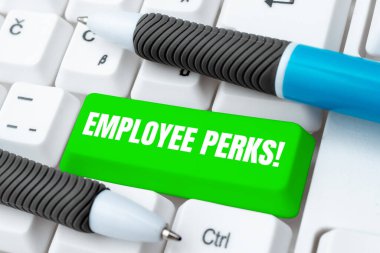 Text showing inspiration Employee Perks, Word Written on Worker Benefits Bonuses Compensation Rewards Health Insurance