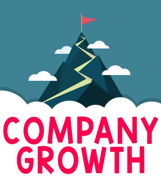 Writing Displaying Text Company Growth Business Concept Long Term Stage — Stockfoto