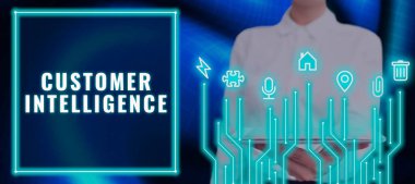 Müşteri İstihbaratı, İnternet Konsepti ve müşteri ihtiyaçlarına hizmet eden bir organizasyonun tabela gösterimi