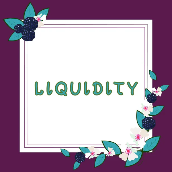 Text Sign Showing Liquidity Business Concept Cash Bank Balances Market — Fotografia de Stock
