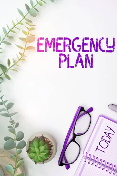 Sign Displaying Emergency Plan Business Concept Procedures Response Major Emergencies — Stock Photo, Image
