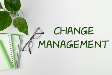 Kavramsal Görünüm Değişikliği Yönetimi, Kavramsal Fotoğraf Yeni Politikalardaki Liderliğin Değiştirilmesi