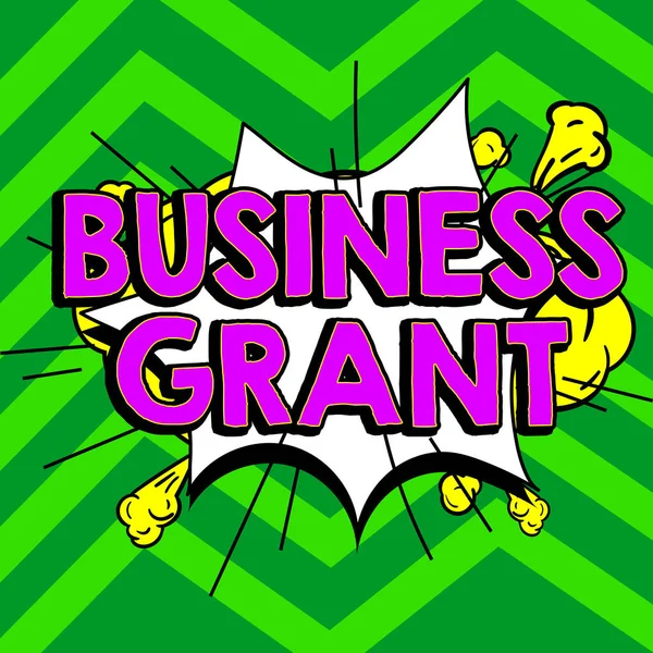 Conceptual display Business Grant, Word for Working strategies accomplish objectives