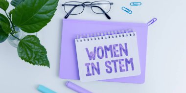 Metin Kadınları Kök İçinde, İnternet Kavramsal Bilim Teknolojisi Mühendislik Mühendisliği Araştırmacısı