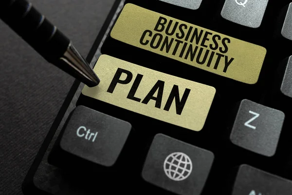 Business Continuity Plan Business Overview Creating Systems Preventing Deal Potential — 스톡 사진