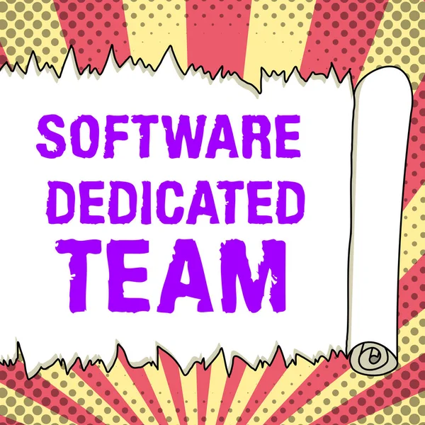 Text Sign Showing Software Dedicated Team Business Overview People Responcible — 图库照片