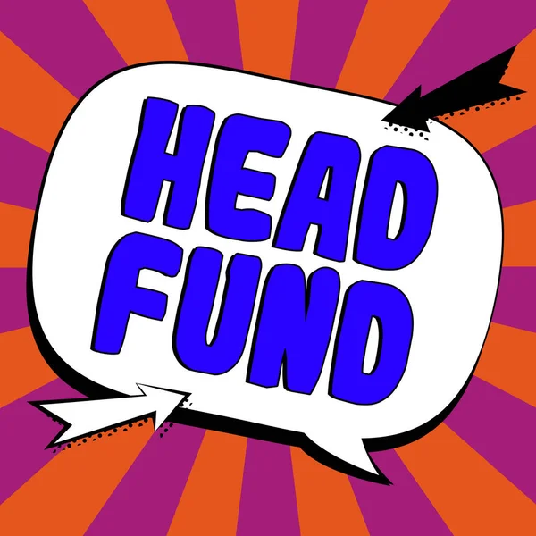 Text Caption Presenting Head Fund Business Concept Pools Capital Accredited — Foto Stock