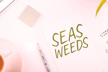 Writing displaying text Sea Weeds, Business idea Large algae growing in the sea or ocean Marine plants flora
