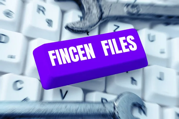 Writing displaying text Fincen Files, Word for Transactions in financial assets and liabilities