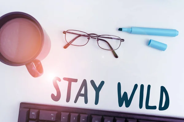 Text sign showing Stay Wild, Business approach keep being you and doing what youre doing Never want to change