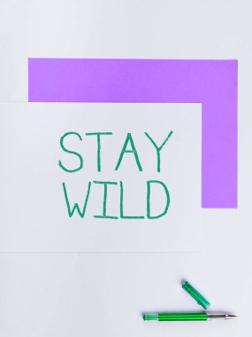 Inspiration showing sign Stay Wild, Concept meaning keep being you and doing what youre doing Never want to change