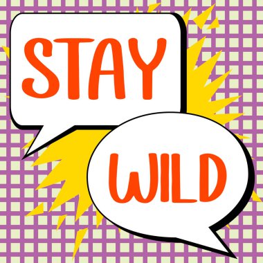 Hand writing sign Stay Wild, Word for keep being you and doing what youre doing Never want to change