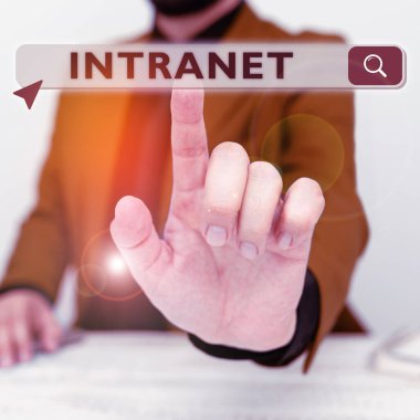 Kavramsal görünüm Intranet, Kavram anlamı yerel ya da kısıtlı iletişim ağı, özellikle de özel ağ