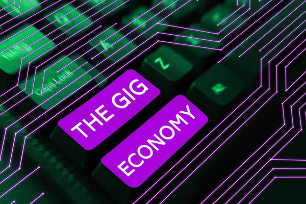 Gig Economy Business Overview Market Short Term Contract Freelance Work — 스톡 사진