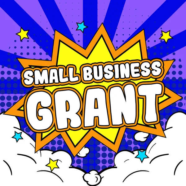 Señal Que Muestra Small Business Grant Internet Concept Negocio Propiedad —  Fotos de Stock