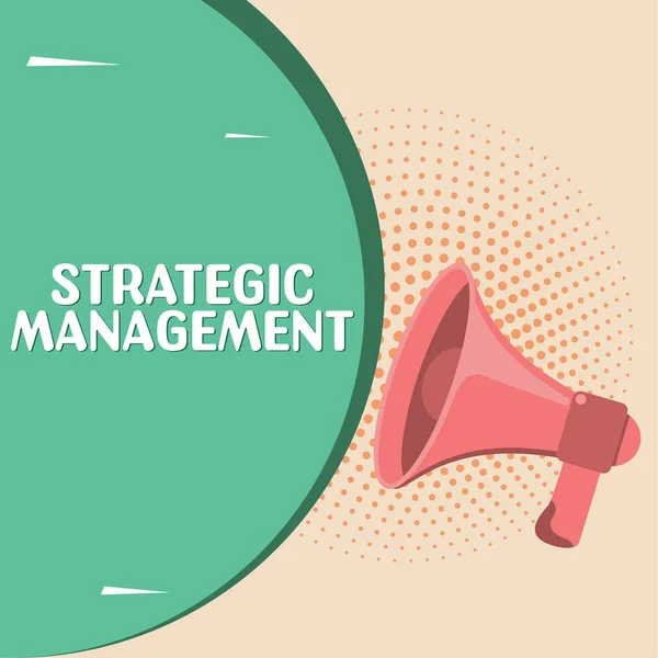 Writing Displaying Text Strategic Management Business Overview Formulation Implementation Major — Stok fotoğraf