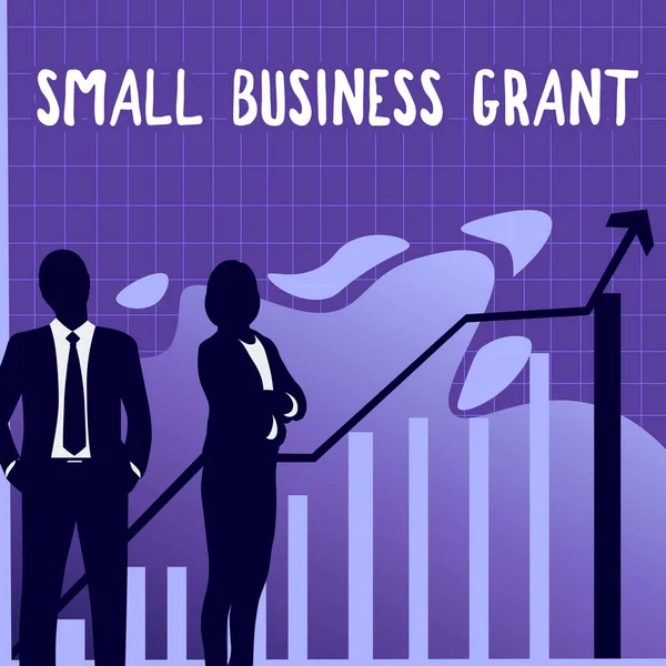Podpis Tekstowy Przedstawiający Small Business Grant Word Wpisany Indywidualnym Przedsiębiorstwie — Zdjęcie stockowe