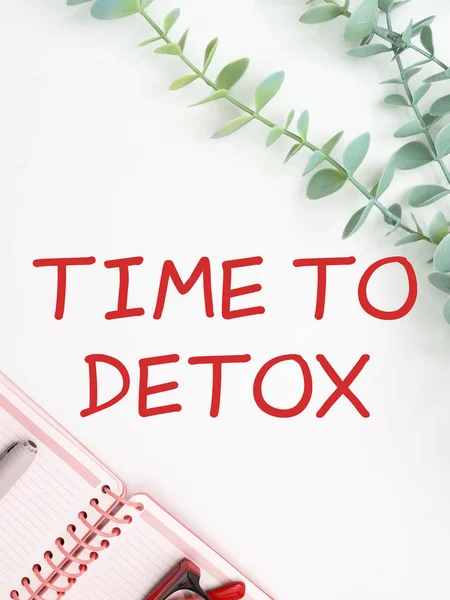 Diyet Beslenme Sağlığı Bağımlılığı Tedavisi Için Konsept Anı Detox Için — Stok fotoğraf