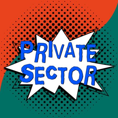 Özel sektör kavramsal görüntüleme, iş genel değerlendirmesi hükümetin kontrolünde olmayan veya sahibi olmadığı bir ekonominin bir parçası
