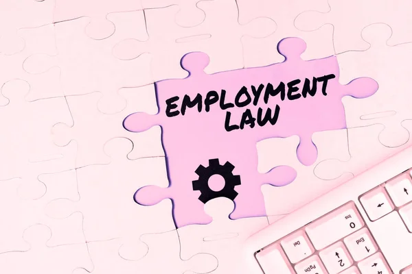 Sign displaying Employment Law, Concept meaning deals with legal rights and duties of employers and employees