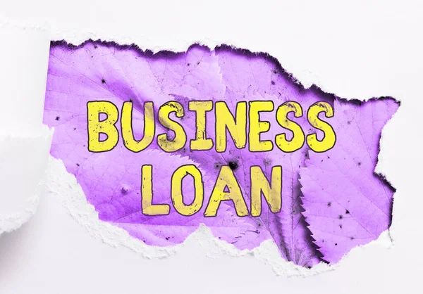 Conceptual Display Business Loan Internet Concept Credit Mortgage Financial Assistance —  Fotos de Stock