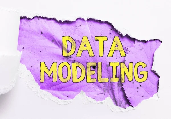 Text Som Visar Inspiration Data Modeling Business Showcase Process För — Stockfoto