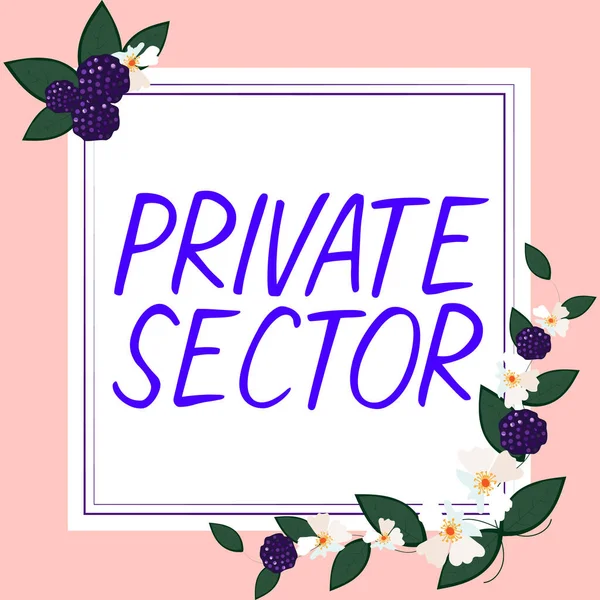 Text caption presenting Private Sector, Business overview a part of an economy which is not controlled or owned by the government